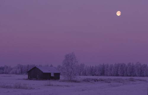 DAWN LIGHT